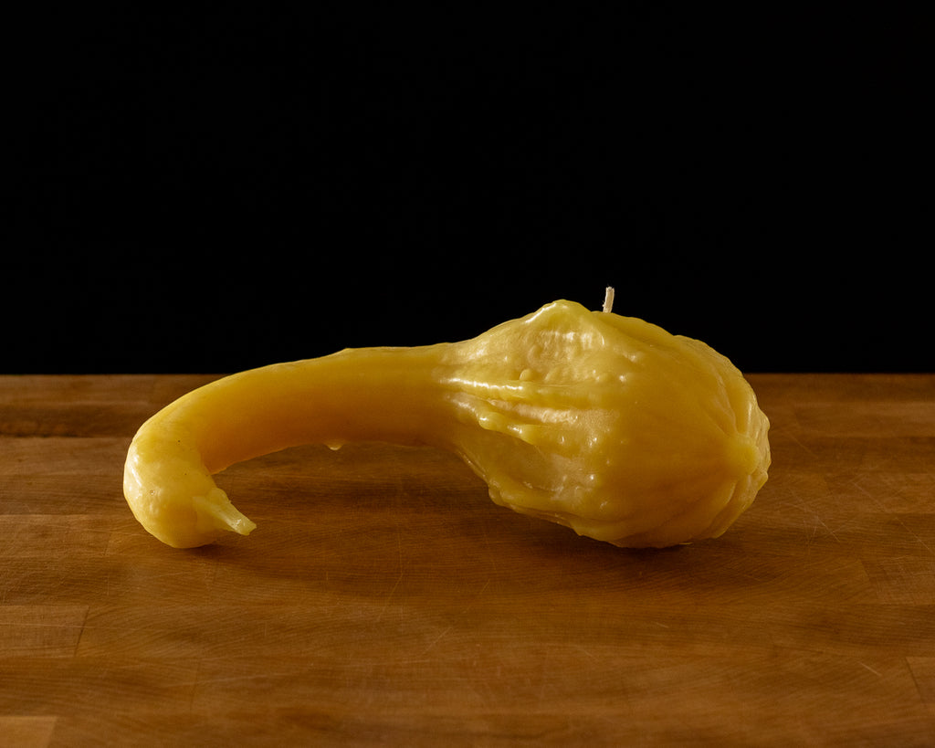 Crookneck Squash Beeswax Candle